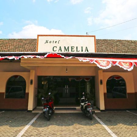 Hotel Camelia Маланг Экстерьер фото