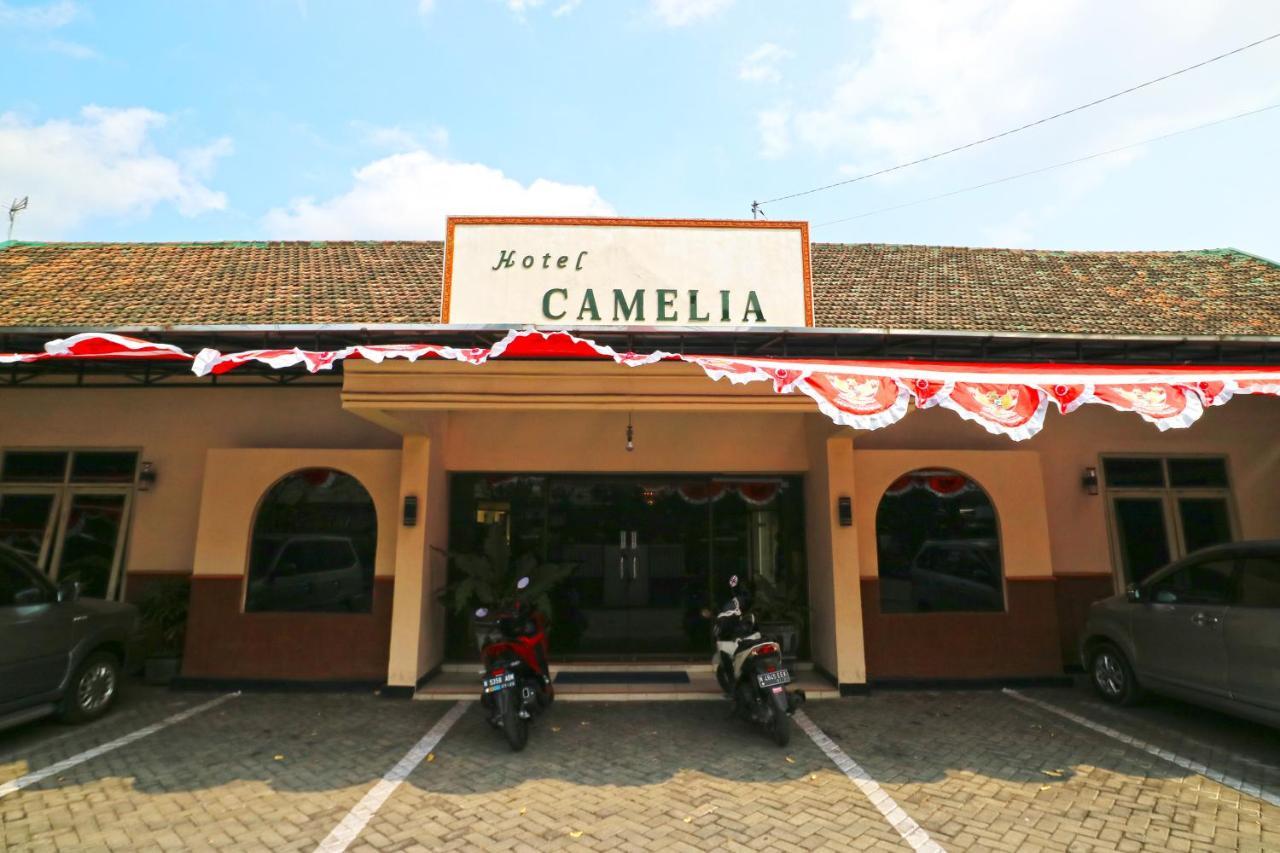 Hotel Camelia Маланг Экстерьер фото